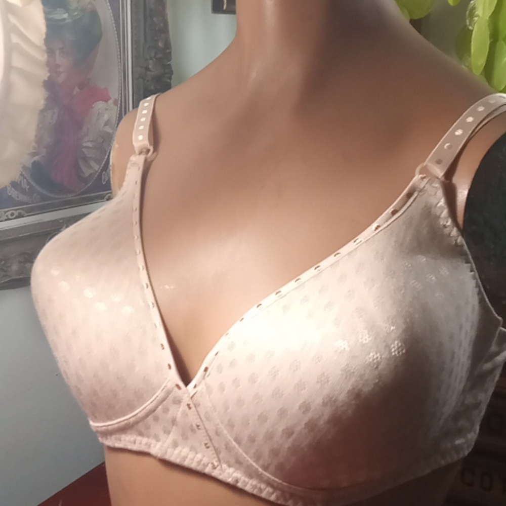 Fruit of the Loom 40 C